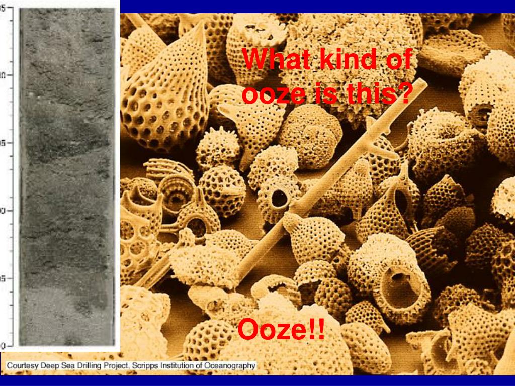 oolite subjected to diagenesis oolite subjected to diagenesis