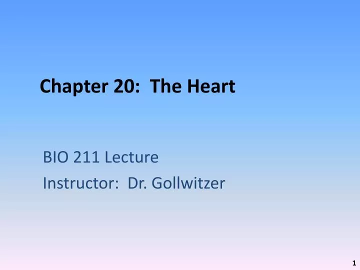 chapter 20 the heart n.