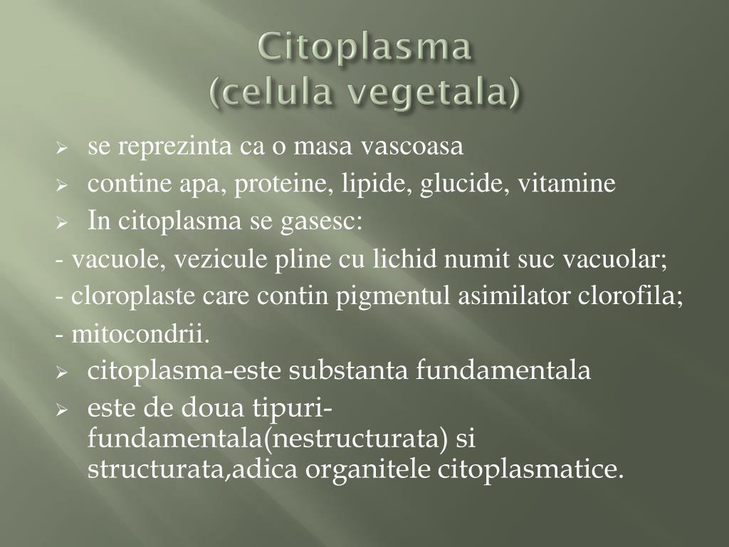 PPT - Celula vegetala PowerPoint Presentation, free download - ID:4052372