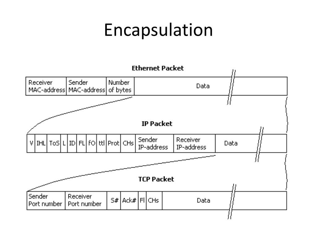 Пакет ip адресов. Структура TCP IP пакета структура. Структура пакета Ethernet TCP/IP. Состав пакета Ethernet. Структура пакета Ethernet IP.