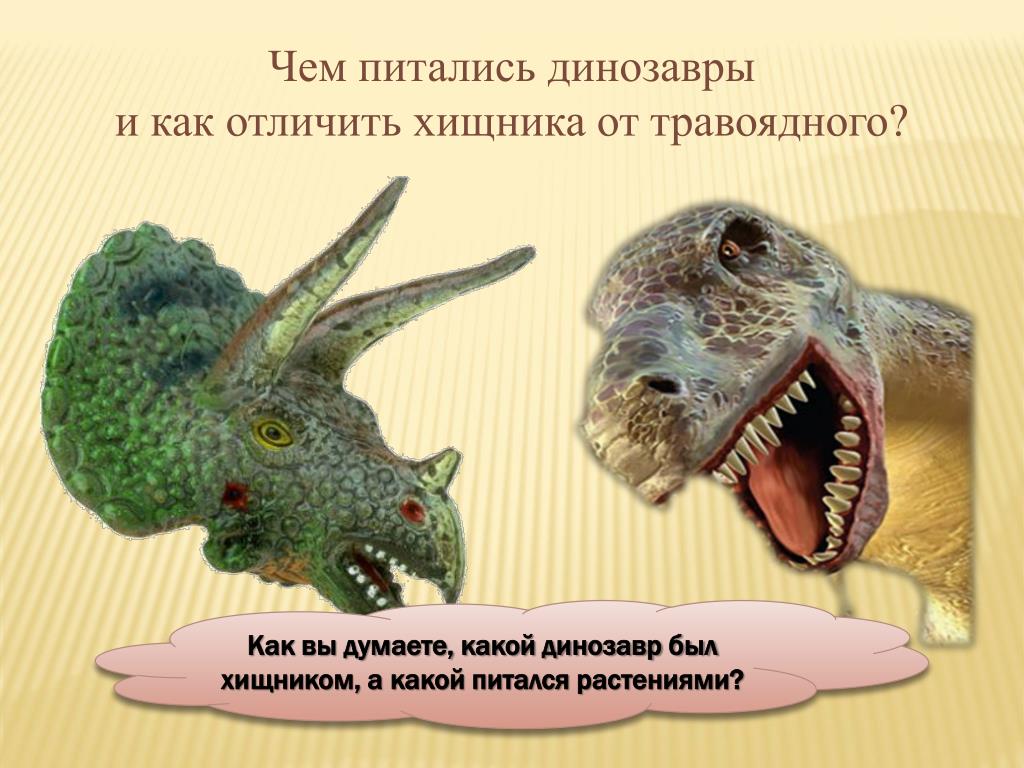 Строго травоядный человек. Зубы травоядных и хищных динозавров. Динозавры хищники и травоядные. Зубы растительноядных динозавров. Чем питались Дилофозавры.