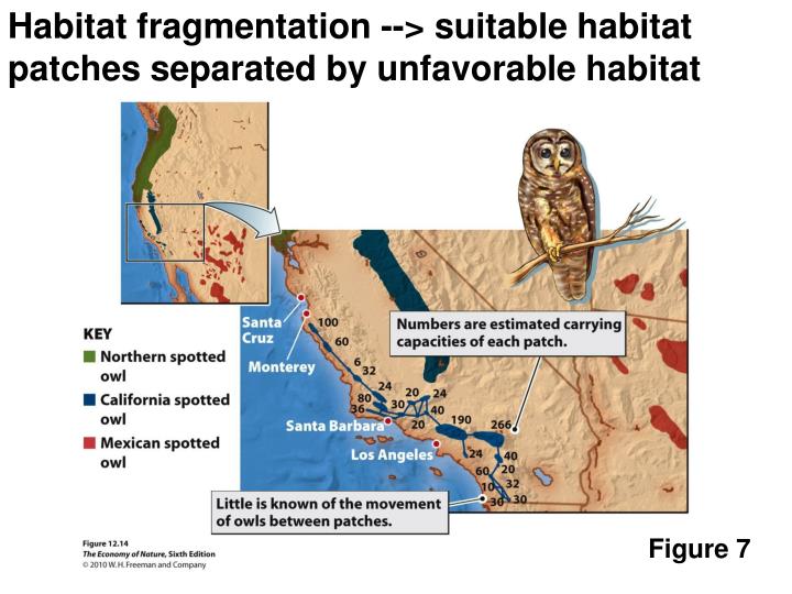 habitat fragmentation habitat fragmentation
