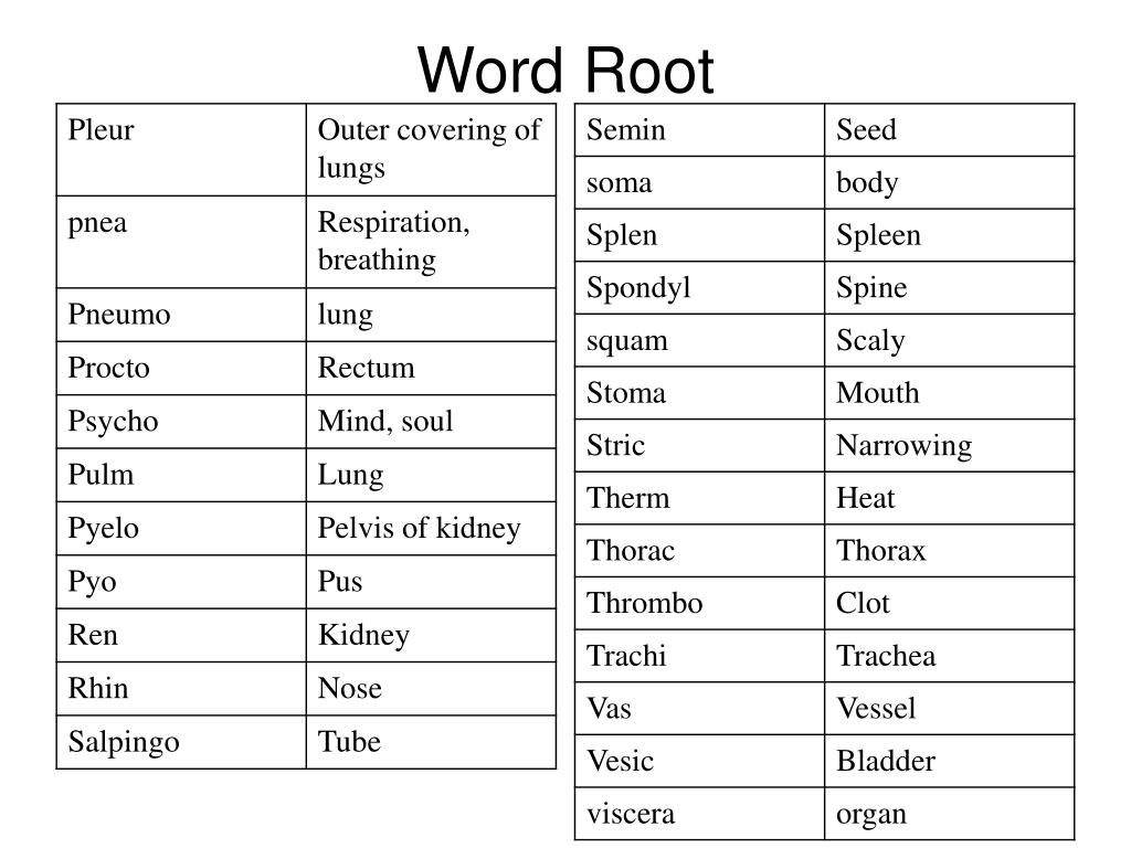 PPT  Vocabulary PowerPoint Presentation, free download  ID4057295