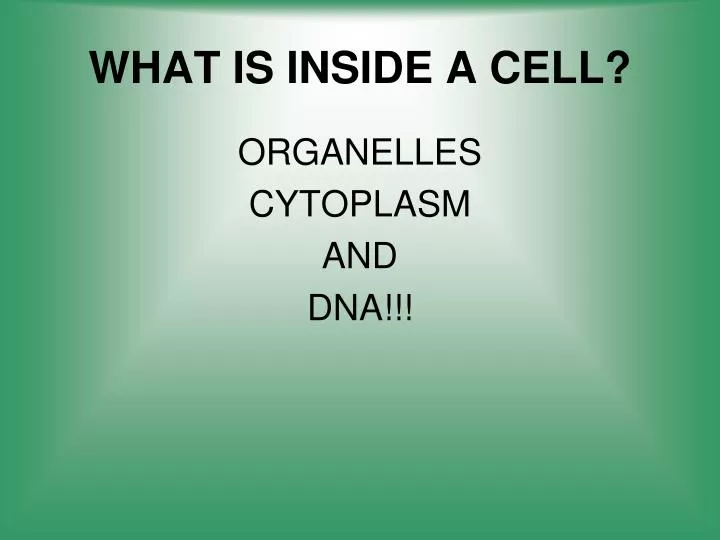 what is inside a cell n.