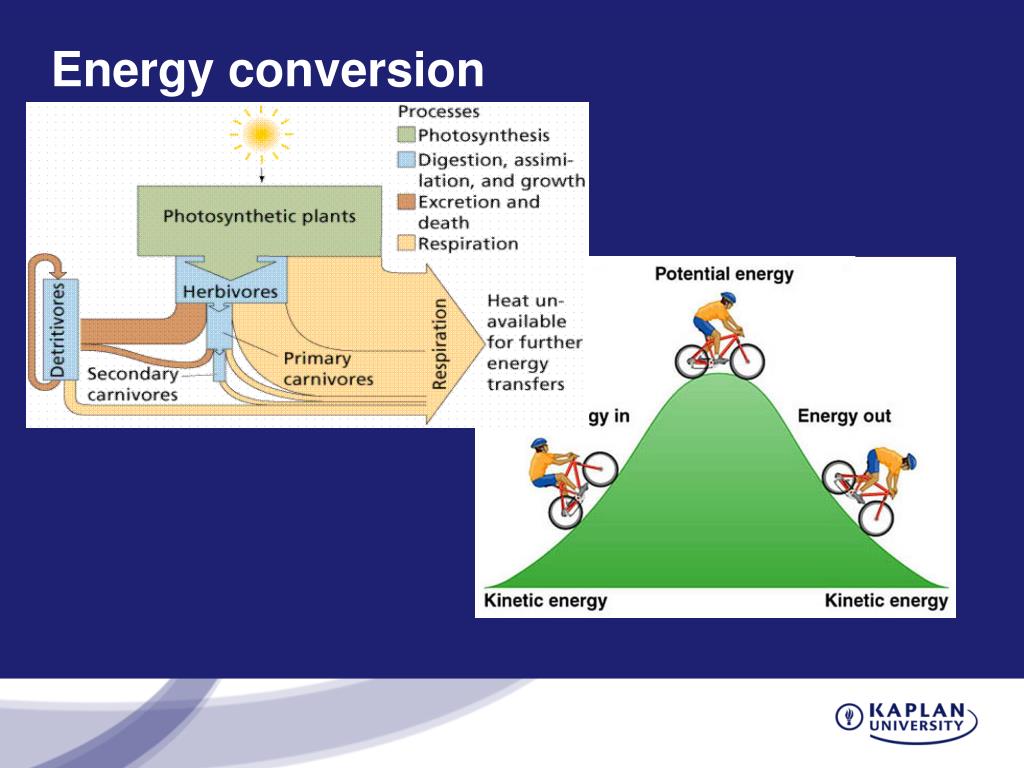 energy conversion assignment