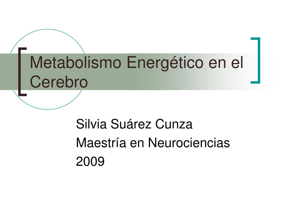 sugerencias de gran alcance en la dieta del metabolismo acelerado torrent