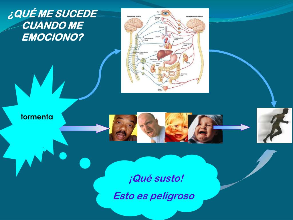 PPT - EDUCACIÓN EMOCIONAL DESDE LA FAMILIA PowerPoint Presentation