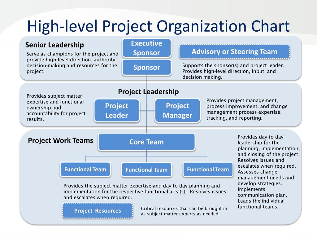 PPT Project Organization Chart Roles Responsibilities Matrix 