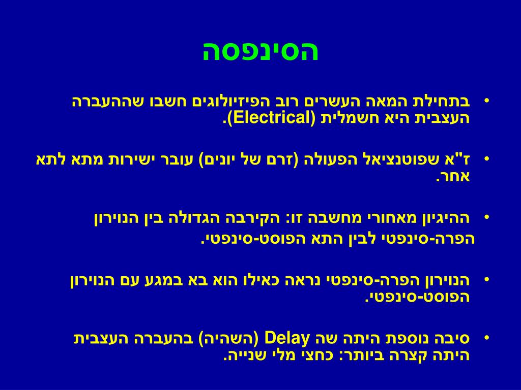 PPT - הסינפסה ( The Synapse ) PowerPoint Presentation, free download -  ID:4070239