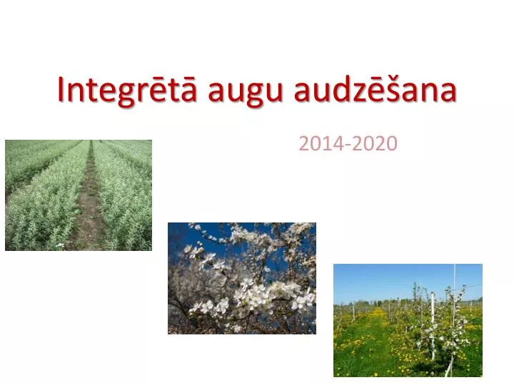 PPT - Integrētā augu audzēšana PowerPoint Presentation, free download -  ID:4070770