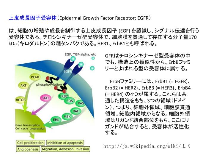 PPT 論文はざっと見る。最初から細かく読まない！ Paper Not to read