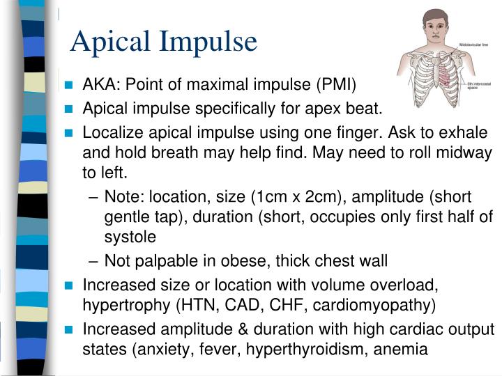 PPT Heart/Neck Vessels & Peripheral Vascular/Lymphatics PowerPoint