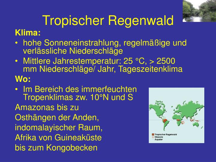 Tageszeitenklima Im Tropischen Regenwald PPT - Ökosysteme PowerPoint Presentation - ID:4071780