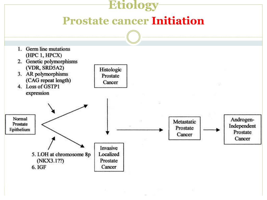 Ppt Localized Prostate Cancer Powerpoint Presentation Free Download 7587