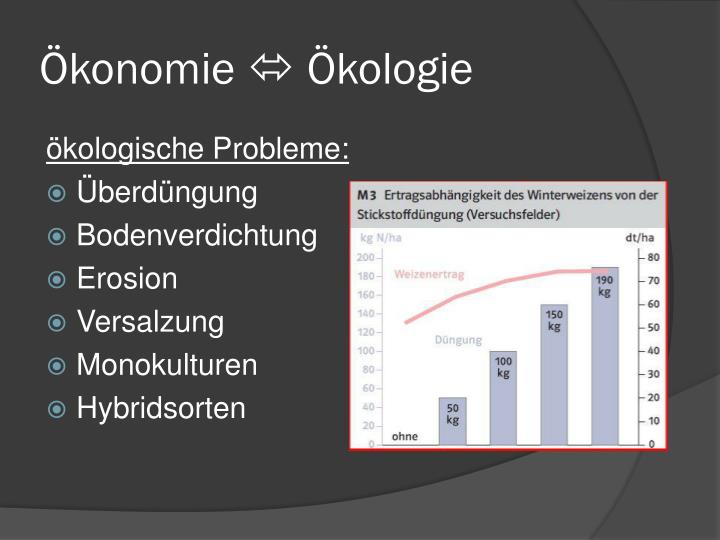 PPT - Landwirtschaft in der gemäßigten Zone PowerPoint Presentation