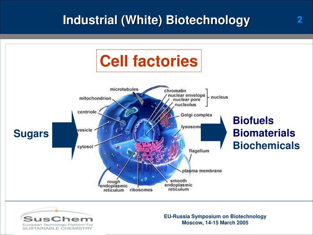 PPT Industrial (White) Biotechnology in Europe PowerPoint