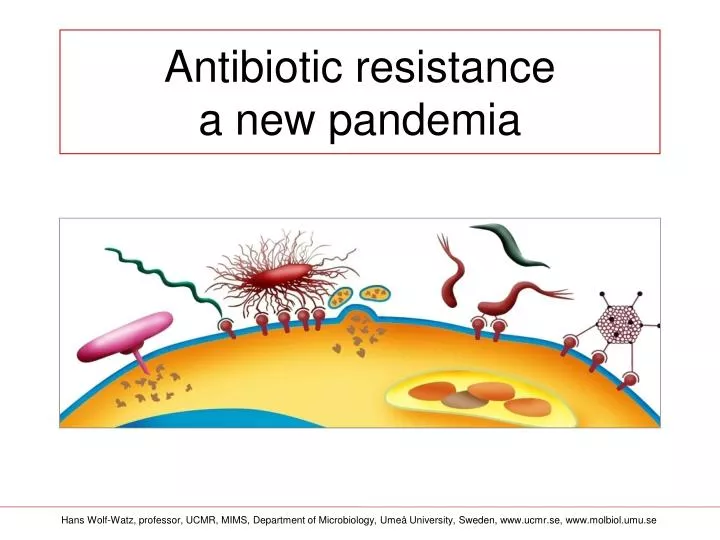 ppt-antibiotic-resistance-a-new-pandemia-powerpoint-presentation