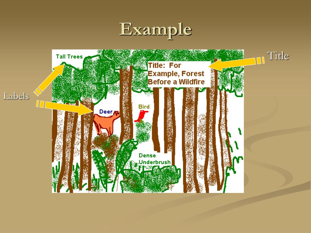 PPT Forest Fire PowerPoint Presentation Free Download ID 4080050