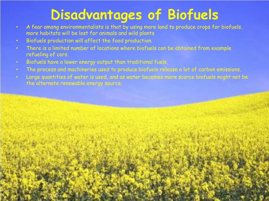 PPT - Biofuels PowerPoint Presentation - ID:4080685