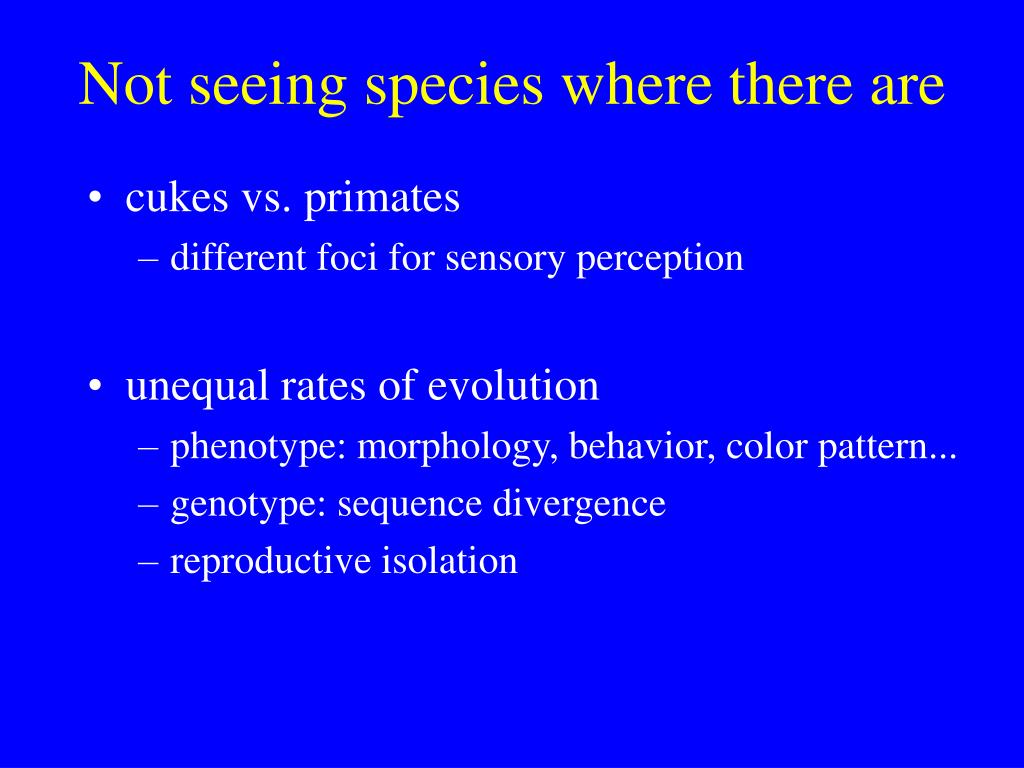 essay about different ways of seeing species