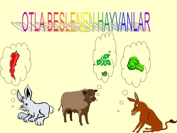 hem otla hemde etle beslenen hayvanlar