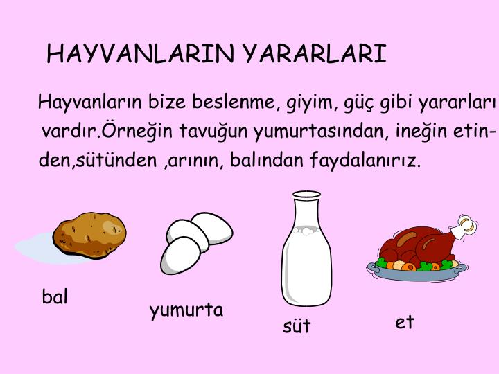 hem et hem otla beslenen hayvanlar