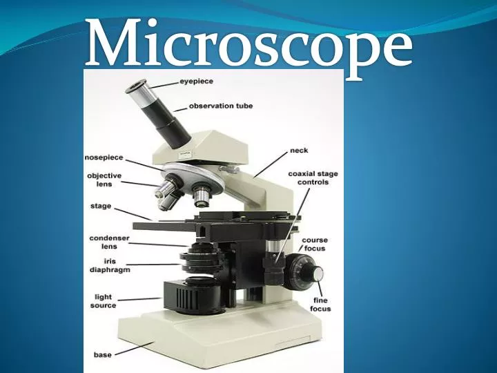 PPT - Microscope PowerPoint Presentation, free download - ID:4086162