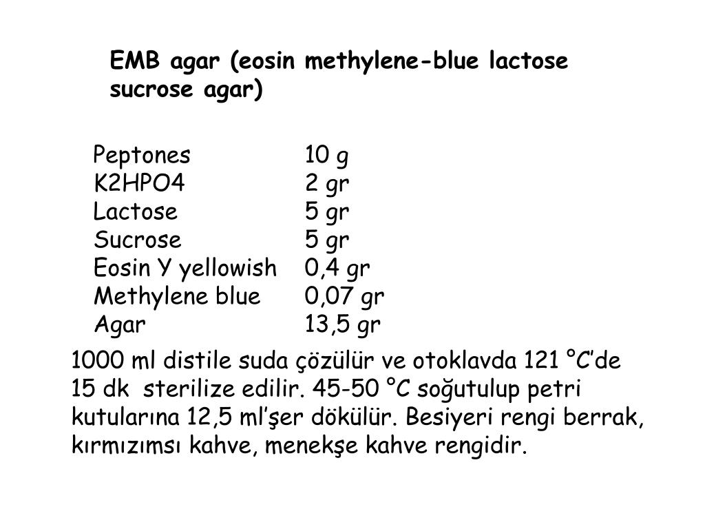EMB agar (eosin methylene-blue lactose sucrose agar) .
