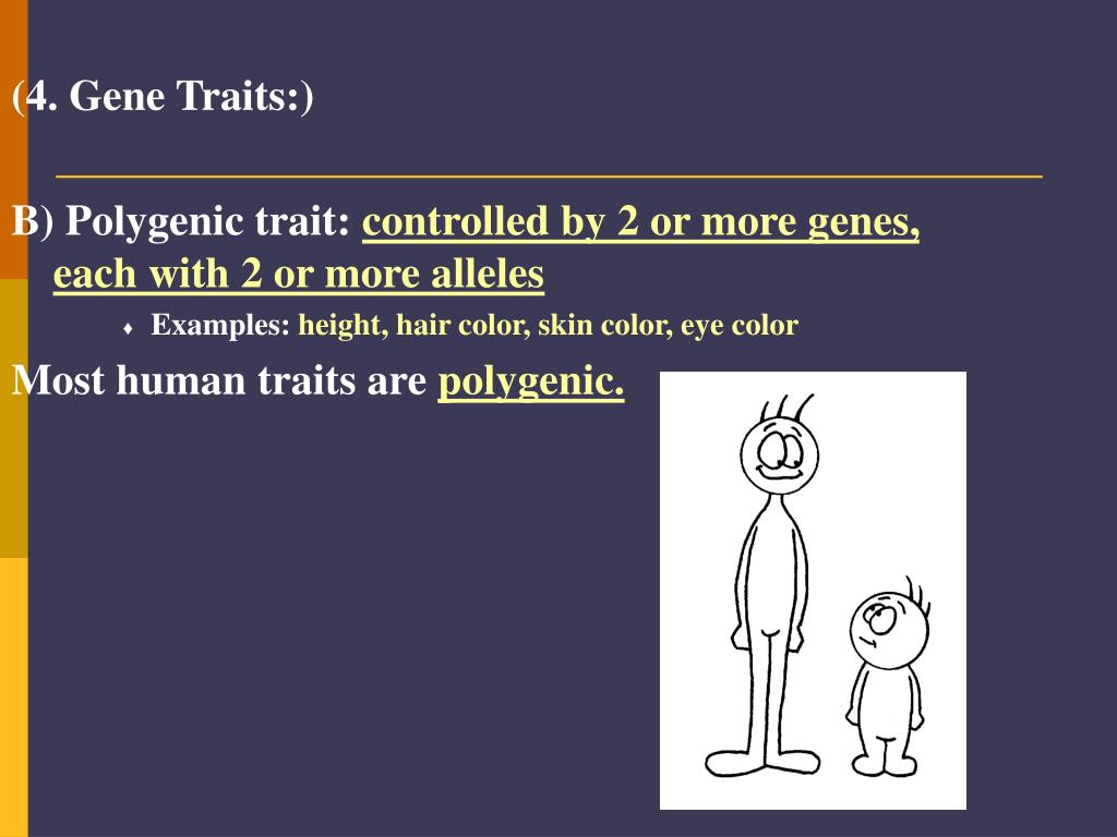 PPT - Chapter 17: Evolution of Populations PowerPoint Presentation ...