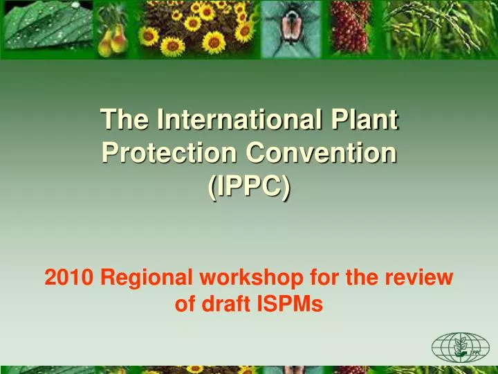 PPT The International Plant Protection Convention (IPPC) PowerPoint