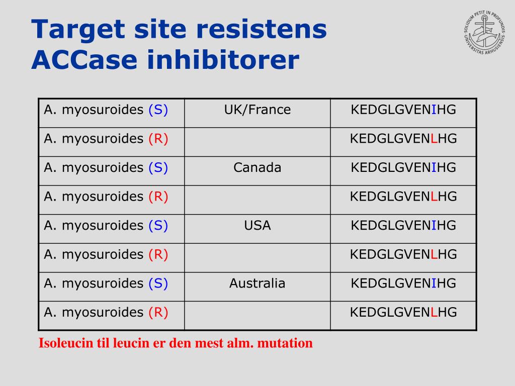 PPT - Herbicidresistens og herbiciders virkemåde PowerPoint ...