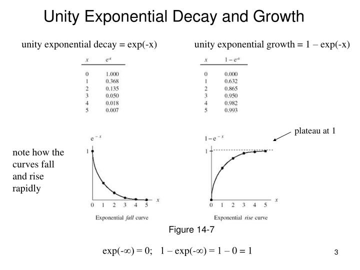 PPT - Exponential Function PowerPoint Presentation - ID:4094991