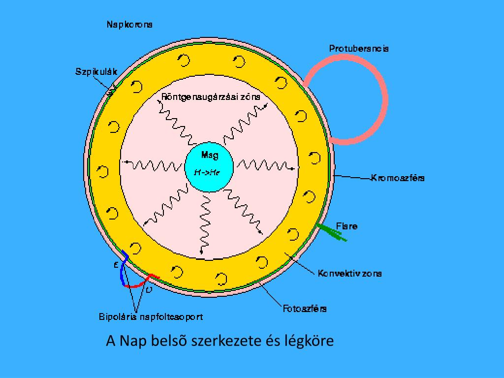 PPT - A Nap szerkezete PowerPoint Presentation, free download - ID:4096377