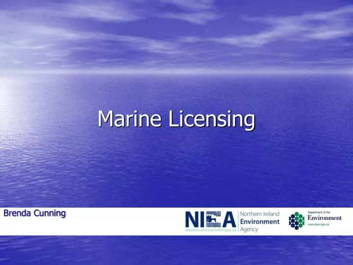 marine licensing n.