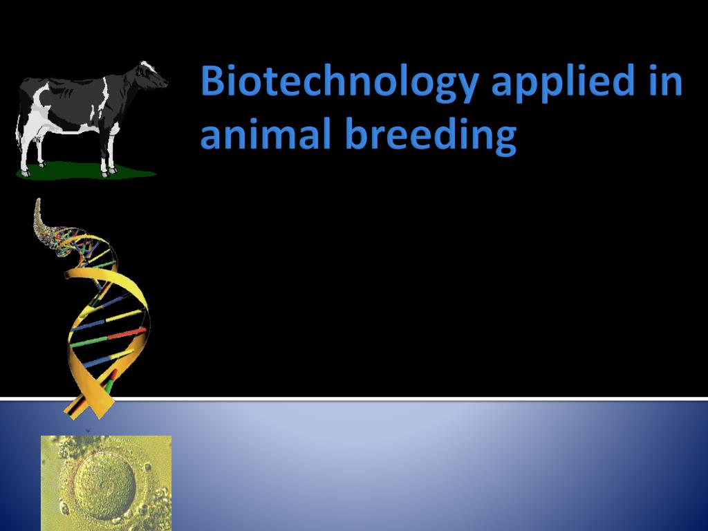 PPT - Biotechnology applied in animal breeding PowerPoint Presentation -  ID:4098448