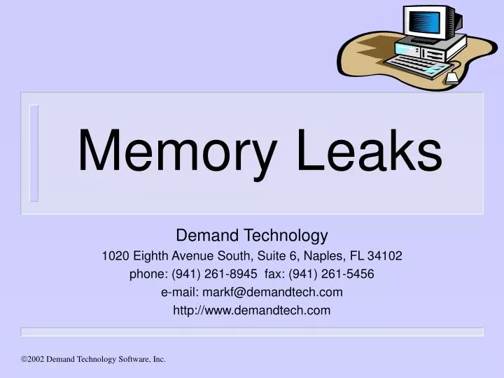 memory leaks n.