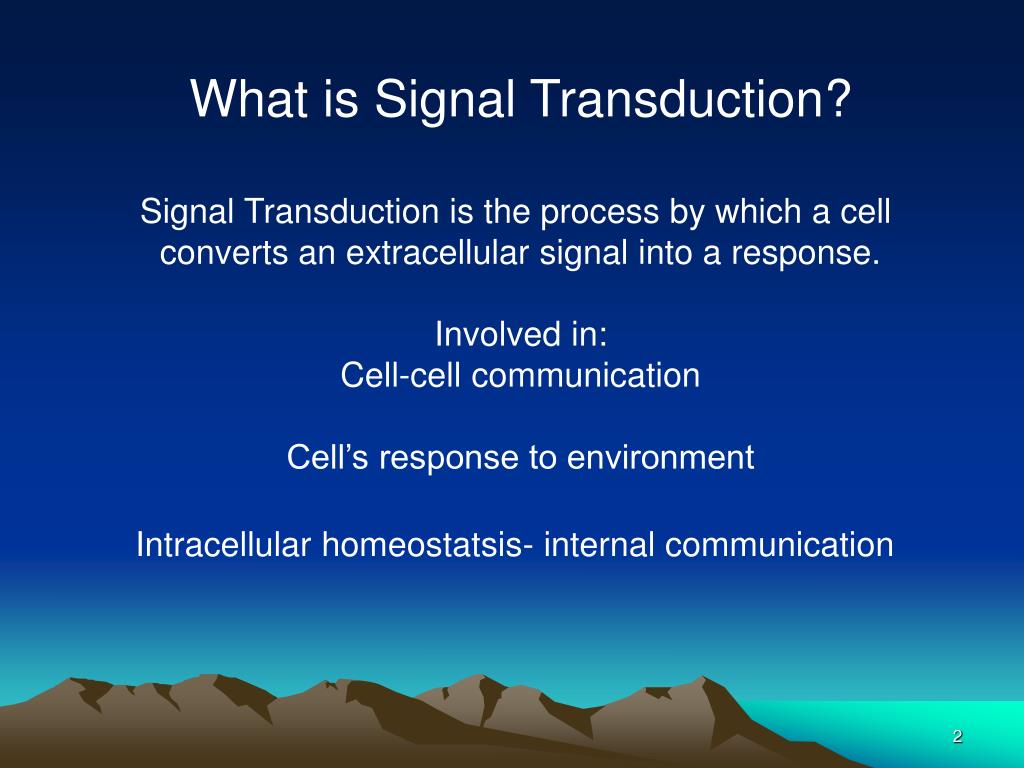 PPT What is Signal Transduction? Signal Transduction is the process