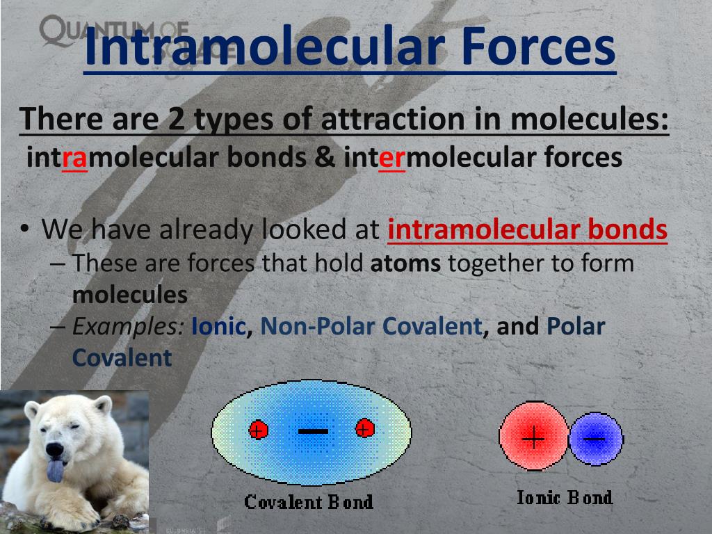 bonds-vs-intermolecular-forces-chemical-bonding-intramolecular-and