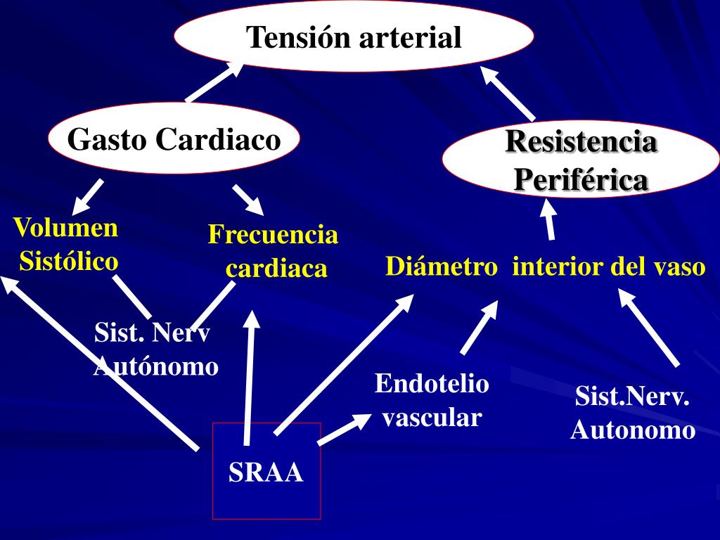 PPT - Fisiopatología De La Hipertensión Arterial PowerPoint ...