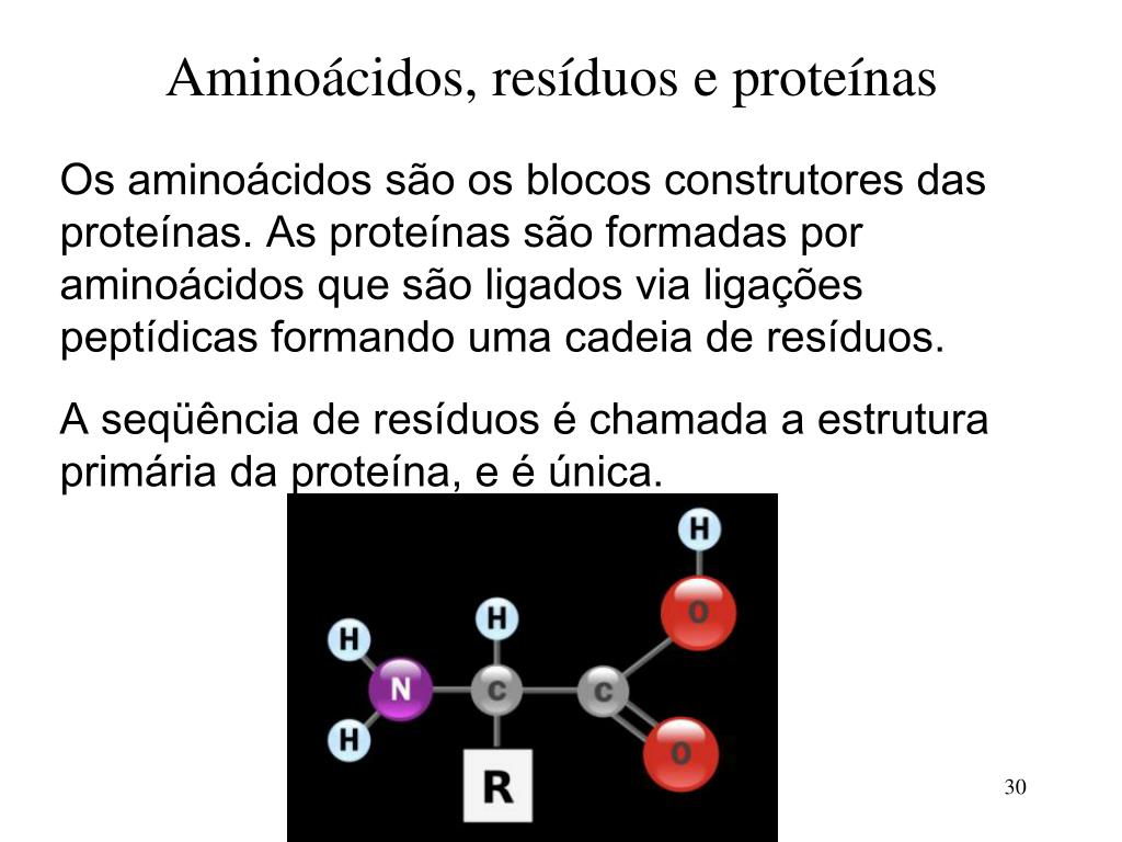 PPT - Estrutura do DNA Transcrição e Tradução PowerPoint Presentation -  ID:4104310