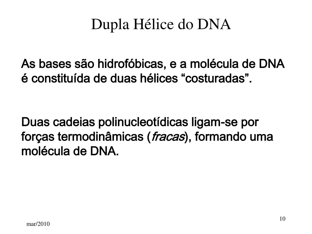 PPT - Estrutura do DNA Transcrição e Tradução PowerPoint Presentation -  ID:4104310