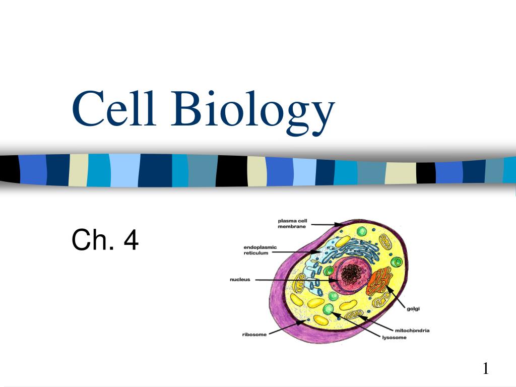 cell biology presentation topics