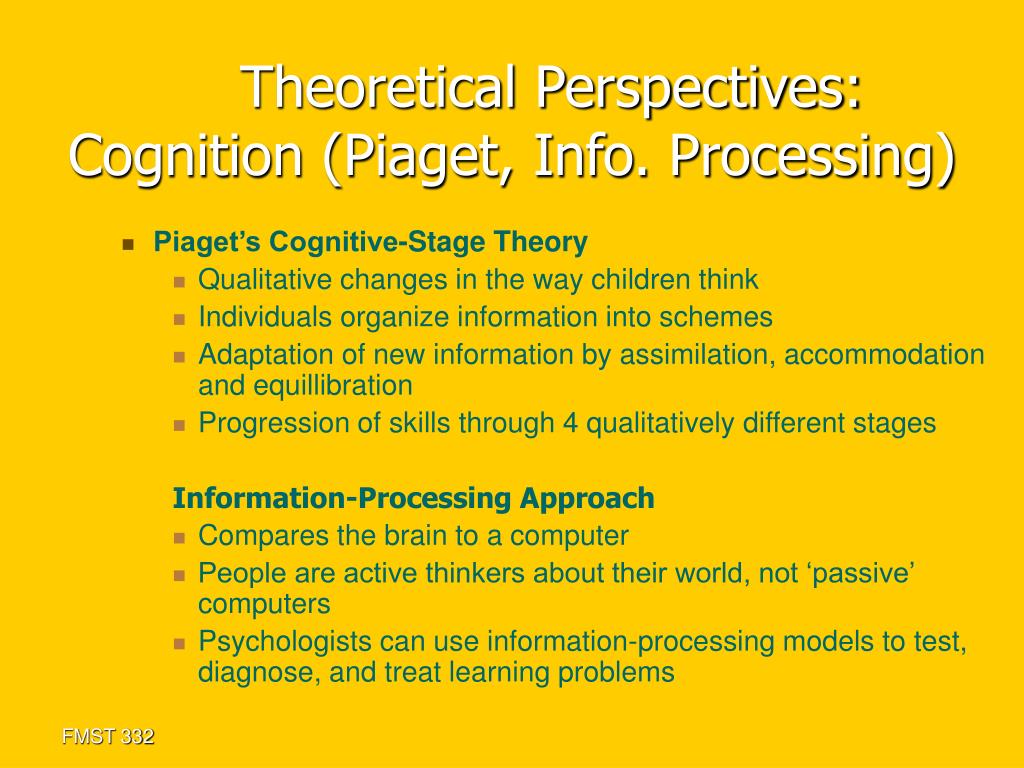 Piaget theoretical perspective new arrivals