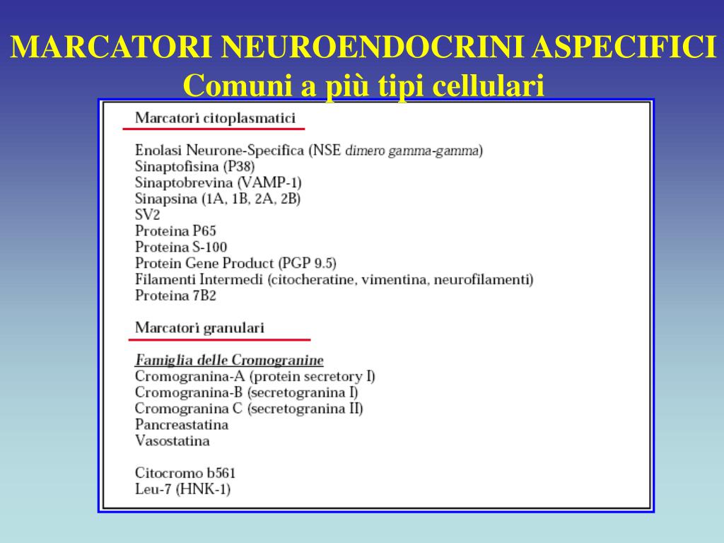 PPT - I tumori del sistema neuroendocrino: classificazione e biologia  PowerPoint Presentation - ID:4110546