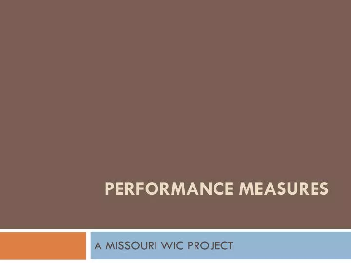 performance measures n.
