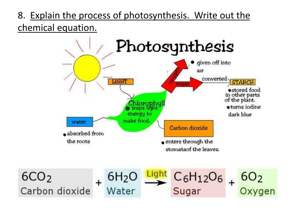 Photosynthesis Formula