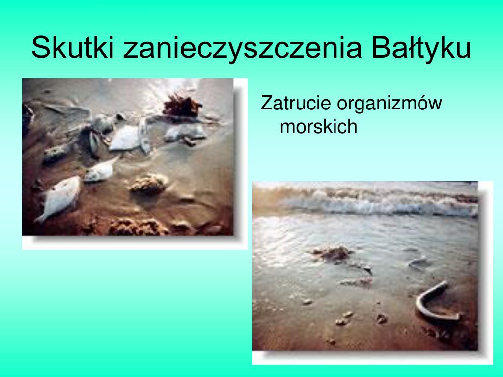 Znaczenie Czystego Bałtyku Dla Państw Nadbałtyckich PPT - Morze Bałtyckie PowerPoint Presentation, free download - ID:4114629