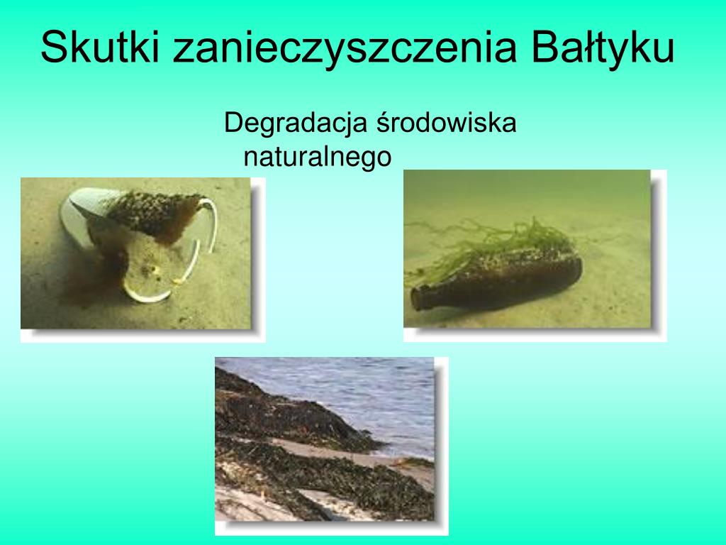 Znaczenie Czystego Bałtyku Dla Państw Nadbałtyckich PPT - Morze Bałtyckie PowerPoint Presentation, free download - ID:4114629