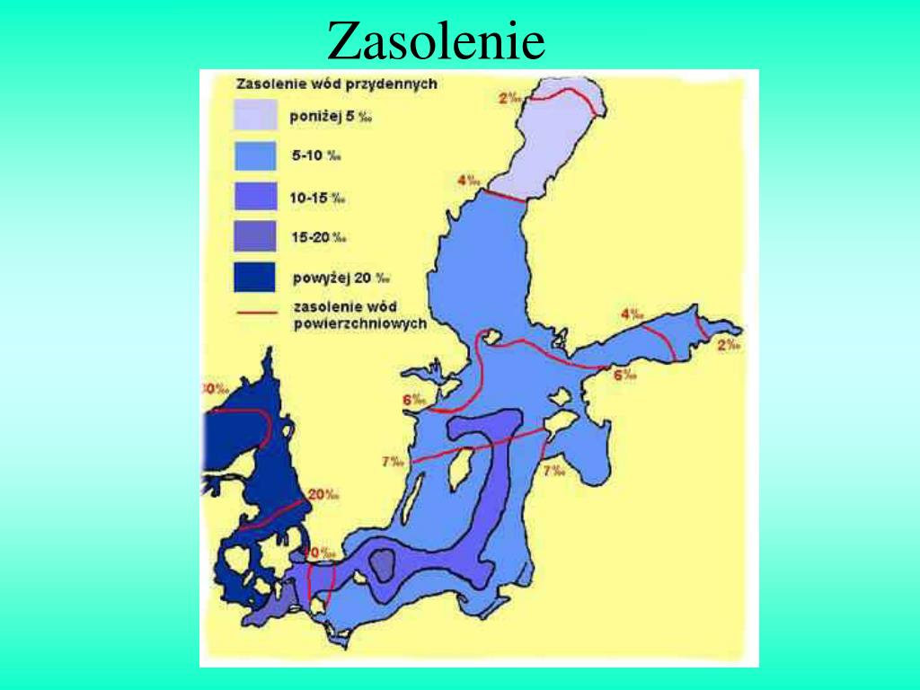 Bałtyk Jest Morzem Głębokim Czy Płytkim PPT - Morze Bałtyckie PowerPoint Presentation, free download - ID:4114629