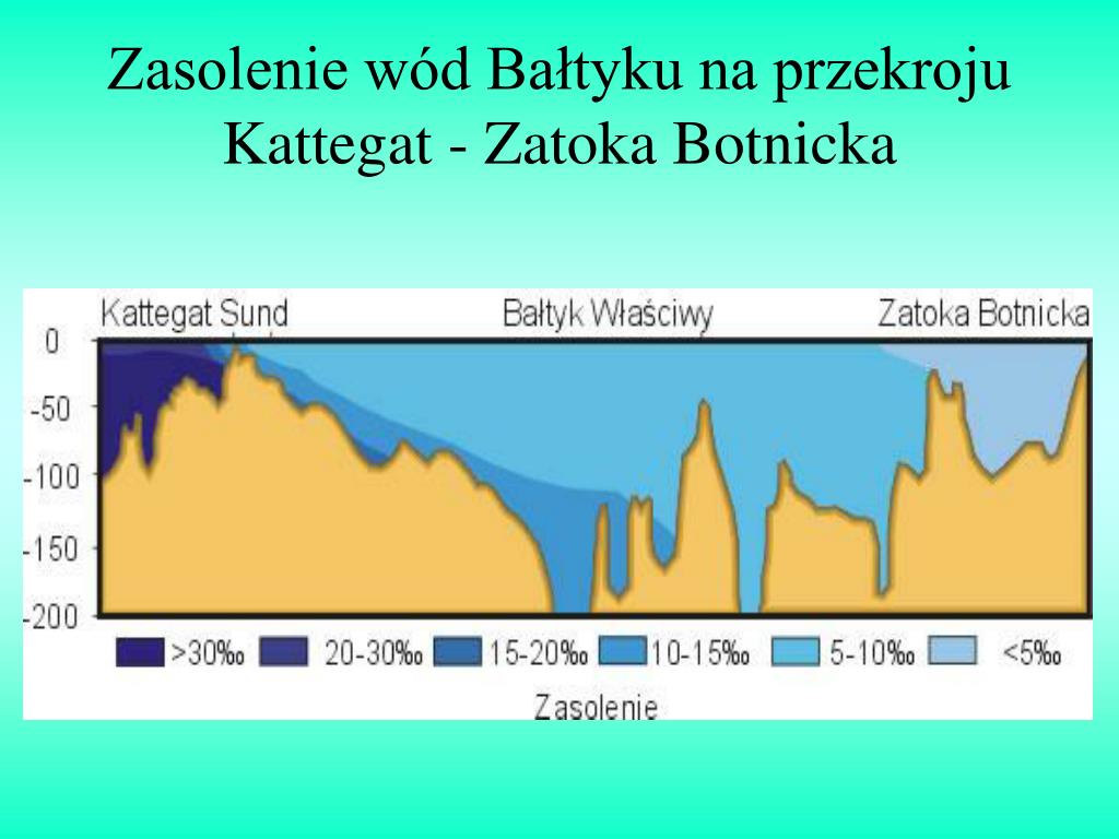 Bałtyk Jest Morzem Głębokim Czy Płytkim PPT - Morze Bałtyckie PowerPoint Presentation, free download - ID:4114629